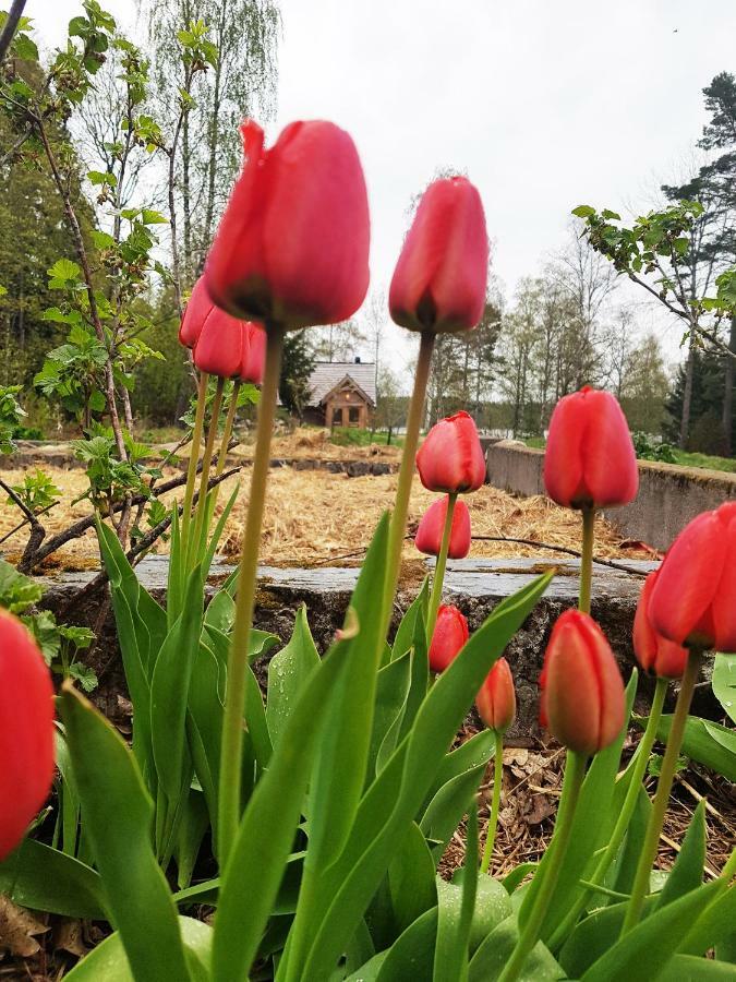 Garpenbergs B&B, Bnb Dış mekan fotoğraf